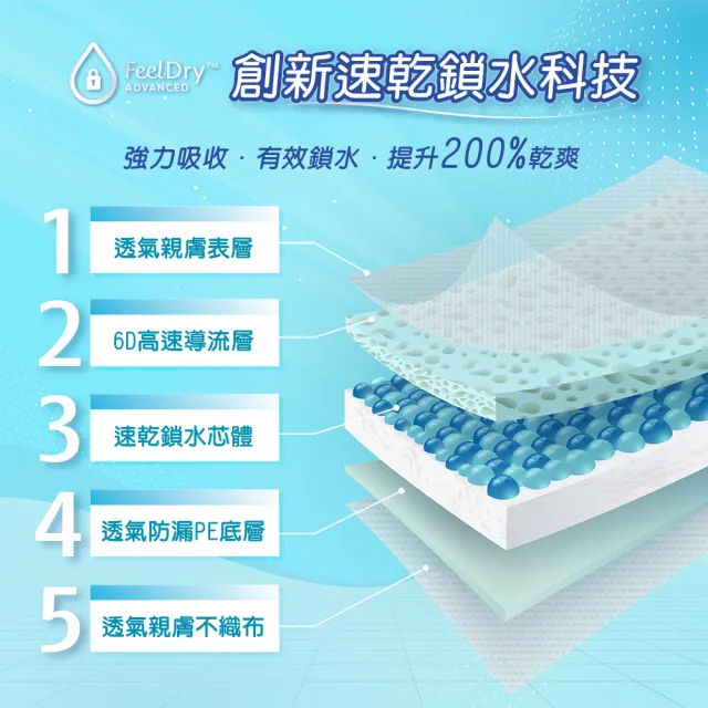 【添寧】長效型 成人紙尿褲XXL 兩箱(10片x6包/箱購 黏貼型)