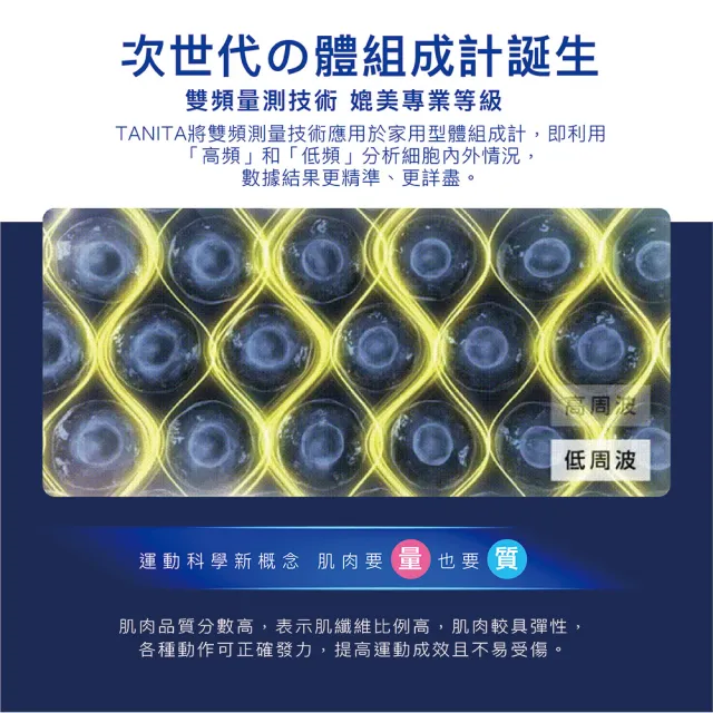 【TANITA】全球銷售NO1 日本製十二合一藍牙智能八點式體組成計RD-545