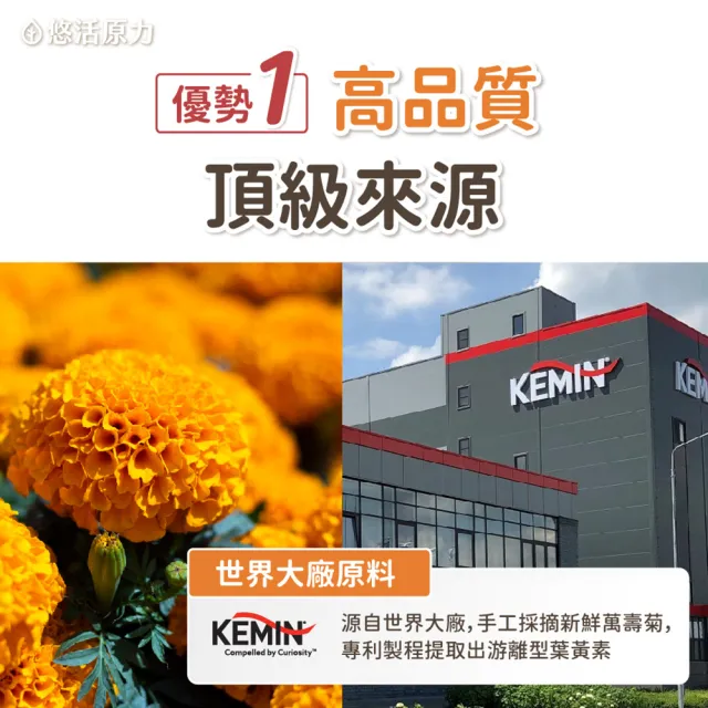 【悠活原力】全新升級 金盞花萃取葉黃素+紅藻萃取蝦紅素 複方軟膠囊(30mg/粒 30粒/瓶 升級版 )