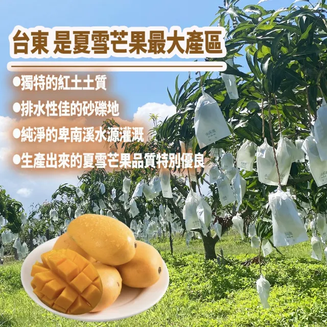 【初品果】台東夏雪芒果禮盒4斤x1盒(芒果界的LV_伴手禮盒)端午節 冷藏出貨