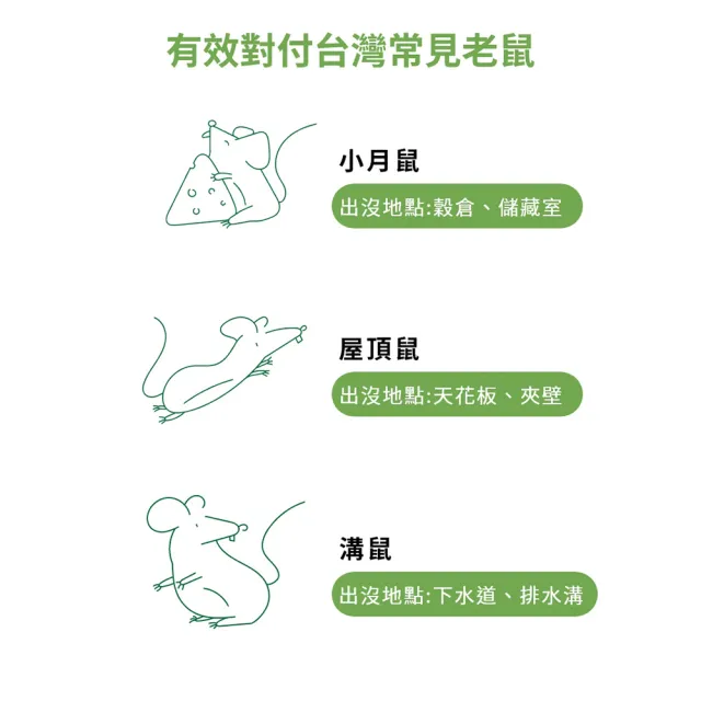 【福來朗】老鼠毒餌10gX10入_5包組 (殺鼠｜滅鼠｜除鼠｜老鼠藥)