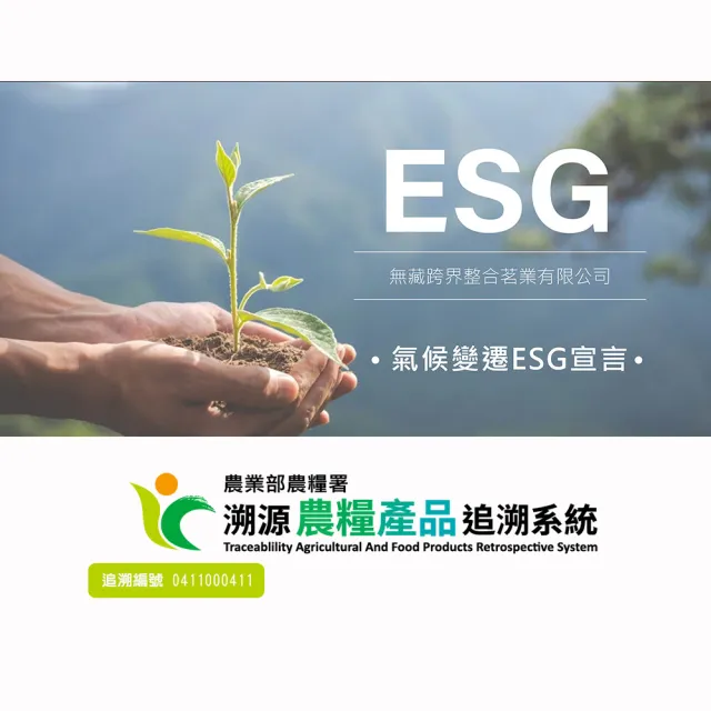【無藏茗茶】開花茶單顆裝10入組/罐裝(6款花型隨機搭配/附提袋)
