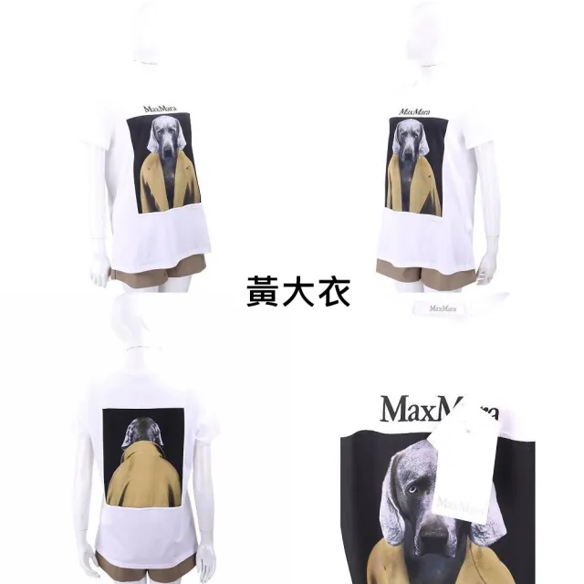 【MaxMara】CIPRIA 威瑪臘犬TEE T恤-3色可選(CIPRIA威瑪臘犬T 上衣 短袖 棉T 狗狗)