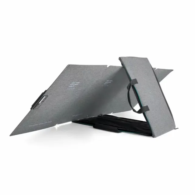 【ECOFLOW】DELTA 2 1800W+ 110W 太陽能板(戶外電源 防颱必備 停電神器)