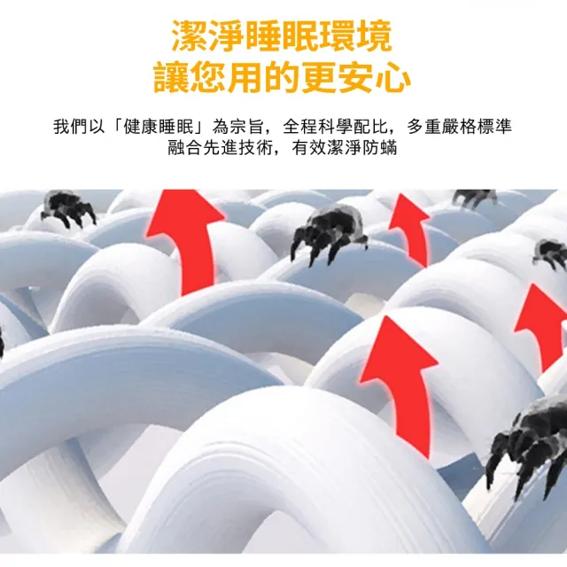 (厝景之隅)90*200 床墊 椰棕床墊 護腰型硬床墊 可折疊床墊 預計10工作天(4cm枕芯 一體式不可折疊)