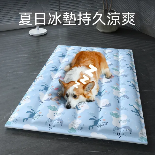 【Quality 聚家】寵物冰墊 狗狗涼蓆墊 夏天涼墊 60*45cm 20公斤內寵物 降溫神器 貓咪冰窩