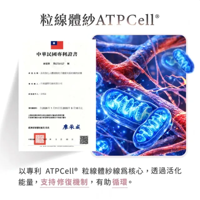 【PP 石墨烯】石墨烯粒線修復內衣3件