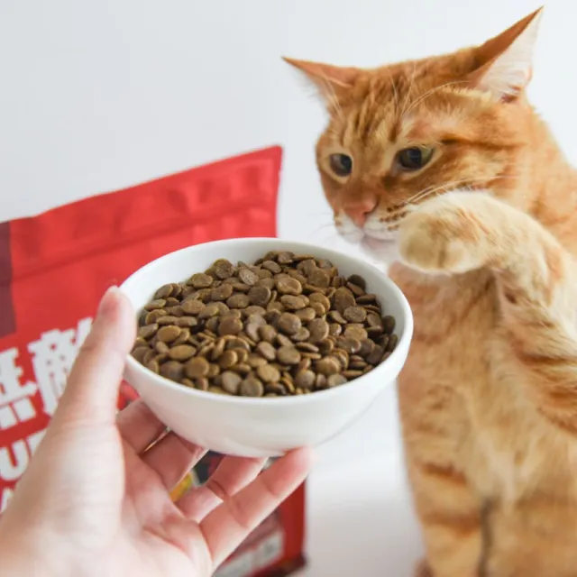 【ParkCat 無敵貓糧】動力火雞鹿6kg(貓飼料、貓糧)