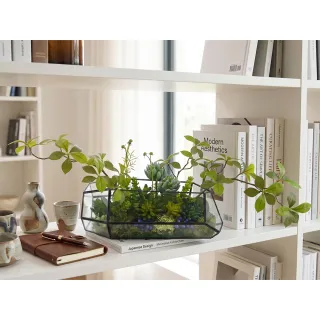 【HUGO DECO 榆果傢飾】多肉植物溫室生態玻璃 免運專人配送限雙北市(開幕/擬真花/佈置/新居落成/送禮)