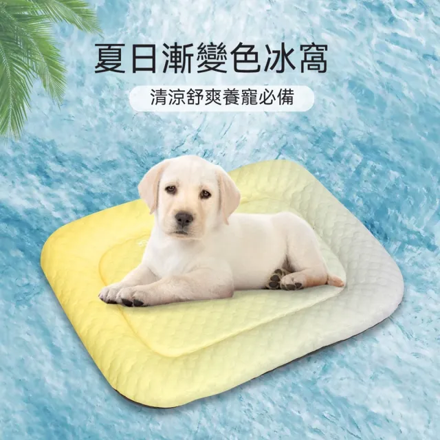 【Quality 聚家】寵物冰墊 冰豆豆墊子 貓狗窩 3D涼感墊子 透氣狗墊 夏季冰墊 散熱墊 可水洗 60*80CM