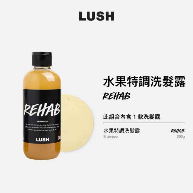 【LUSH 嵐舒】潔淨亮澤洗髮露 250g 多款任選1(Big 豐盈 -QWER演唱會香氣/Rehab 水果特調)