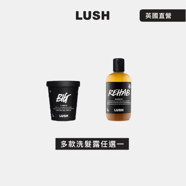 【LUSH 嵐舒】潔淨亮澤洗髮露 250g 多款任選1(Big 豐盈 -QWER演唱會香氣/Rehab 水果特調)