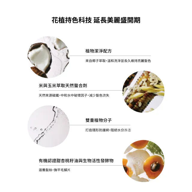 【AVEDA】護色穎采洗髮精1000ml(髮色飽滿 長達8週)_附贈 壓頭