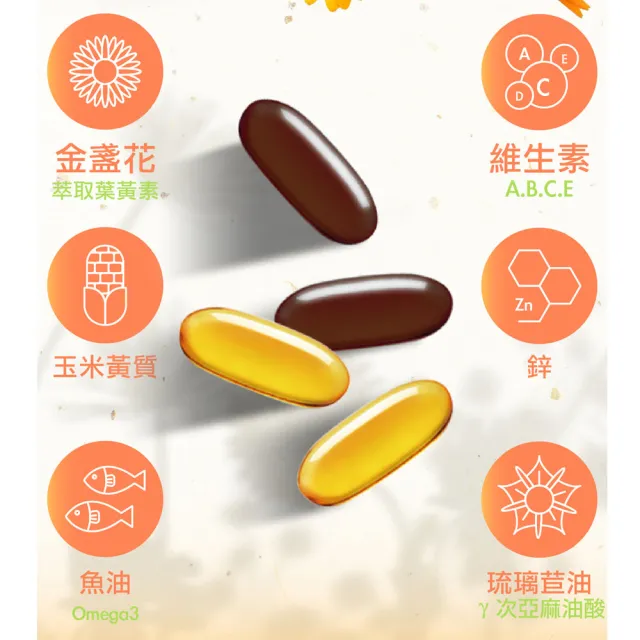 【Doppelherz 德之寶】葉黃素日夜軟膠囊60粒x3盒(德國雙心)