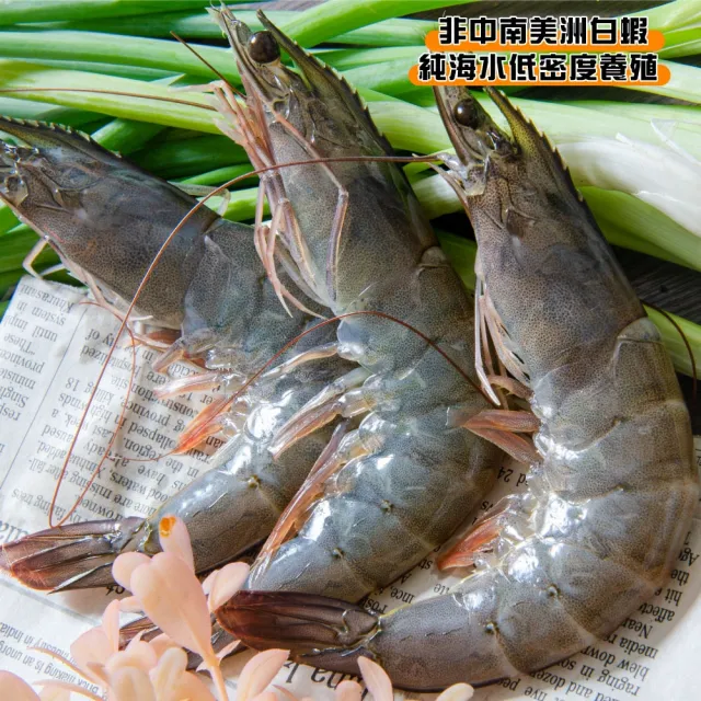 【鮮綠生活】嚴選特大生凍白蝦后 6盒(600g±10%/盒 約14±3尾/盒)