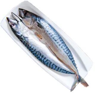 【鮮綠生活】挪威鯖魚一夜干 共6片(275g±10%/片)