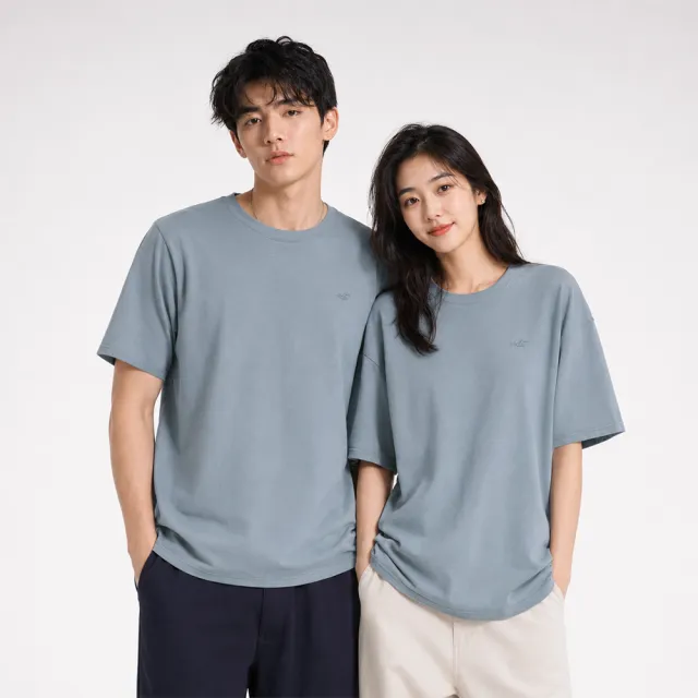 【HOLLISTER Co】HCO 海鷗 經典圓領小海鷗素面短袖T恤 上衣-灰藍色(平輸品/素T/短T/可男女穿搭)