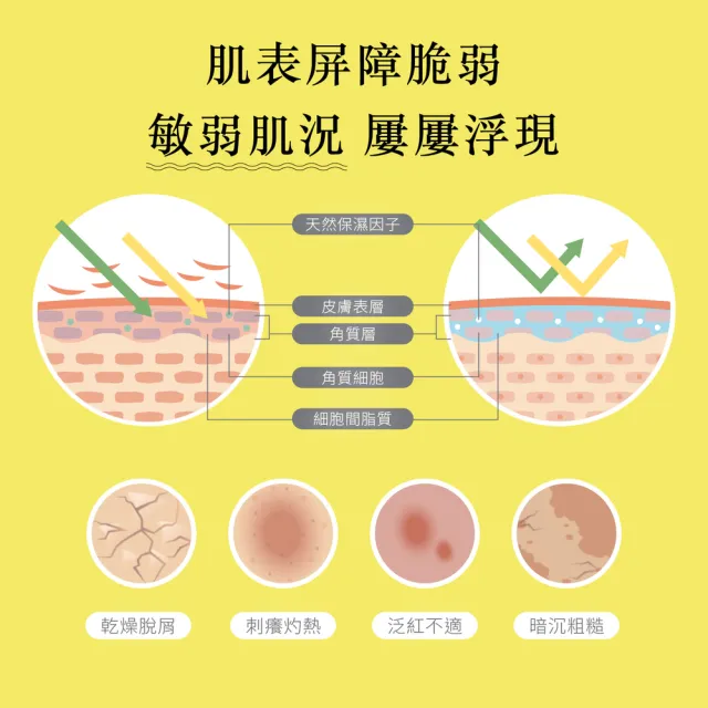 【Dr.Huang 黃禎憲】穩膚急救修護組-舒緩乳霜55ML*2瓶