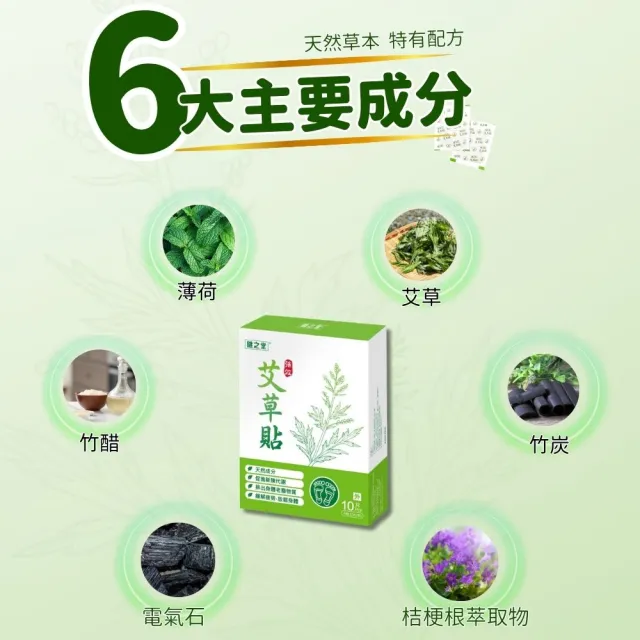 【健之堂】強效艾草足貼1盒 共10片(艾草/竹醋/足貼/緊繃/放鬆）