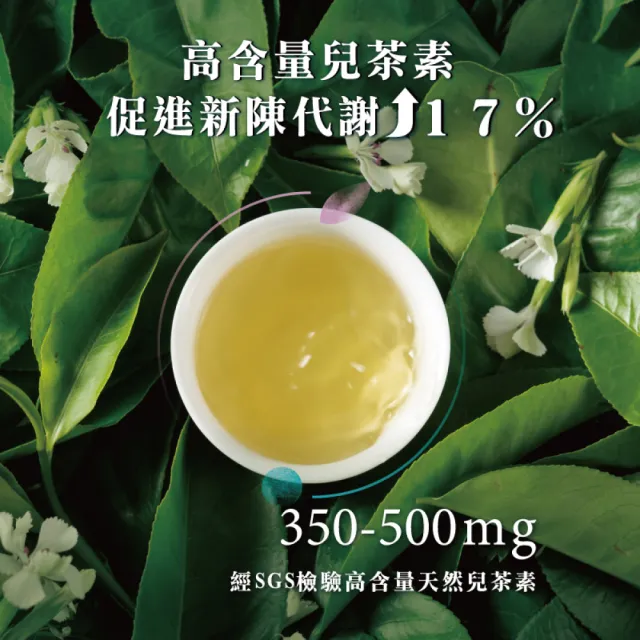 【Teascovery 發現茶】4盒兒茶素青茶 (30入/盒;甜白花香;促進新陳代謝;冷泡茶包)
