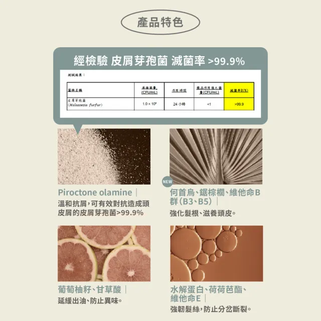 【Pxppy】杉木抗屑淨化洗髮精500mL Poppy21罌粟狂想 OCTO抗屑配方 調理頭皮 溫和去屑 菌叢平衡 油水平衡