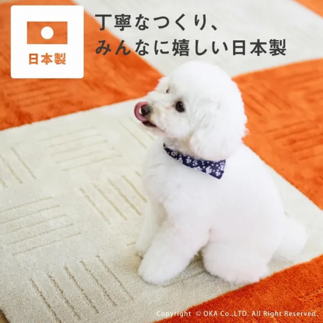 【fujidinos】日本Oka Pita Plus吸水防滑拼接地墊60×60cm(2枚組/厚度約10mm)