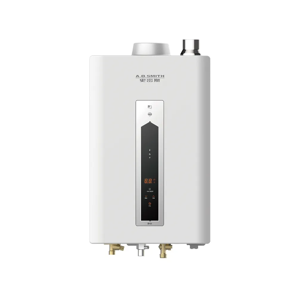 【A.O.Smith】歡慶618活動!不鏽鋼瓦斯熱水器16L 防CO偵測器(JSQ31-ST16T NG1/FE式 含基本安裝 適用天然氣)