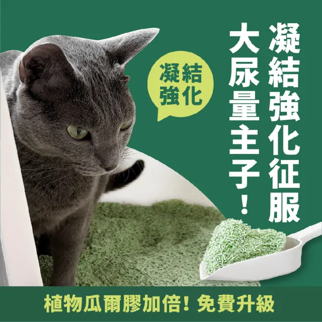 【LEEDE CAT 里德】里德熟化豌豆腐砂(買5包送1包組)