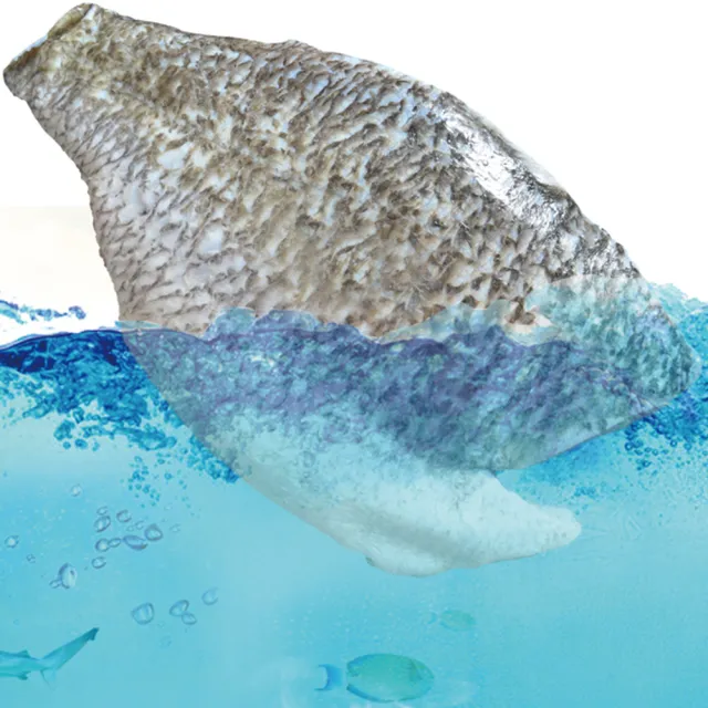 【鮮綠生活】台灣金目鱸魚片 共8包(200-300g/片 無包冰)
