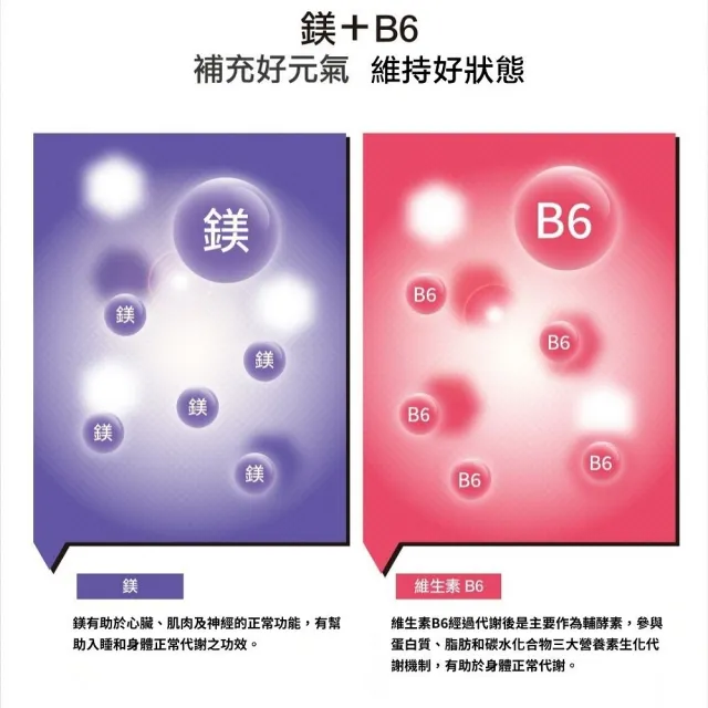 【SUNLIFE 森萊富】德國原裝  鎂Mg及B6維他命發泡錠(橘子口味 X 3入 / 共60錠)