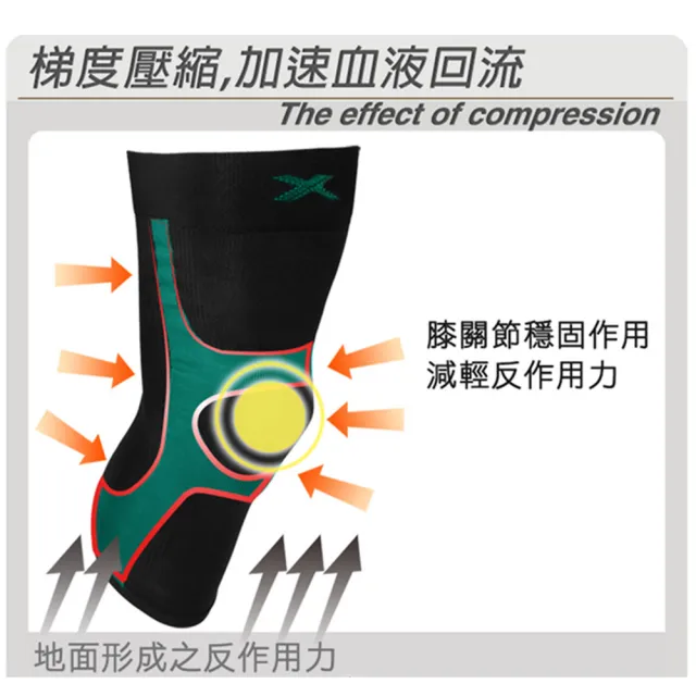 【Leader X】進化版X型運動壓縮護膝腿套 2色任選(XW-03 X型膝部保護 後腿Y型支托 2只入)