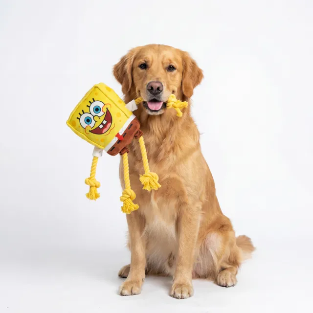 【SpongBob 海綿寶寶】8.5吋海綿寶寶拉繩絨毛寵物玩具-大