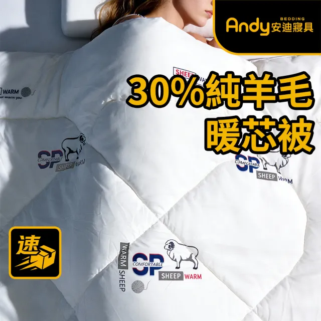 【Andy Bedding 安迪寢具】紐西蘭羊毛被 單人(羊毛被 被胎 被子 棉被 發熱保暖 冬被 台灣製)