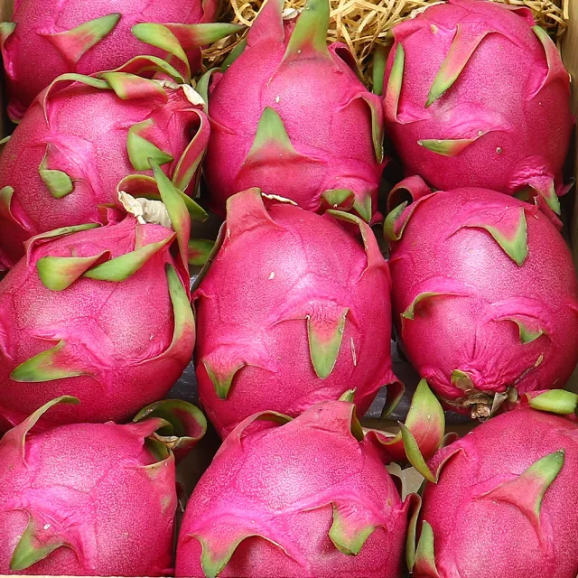 【愛蜜果】台灣白肉火龍果約10斤x1箱(7-9入/原裝箱)