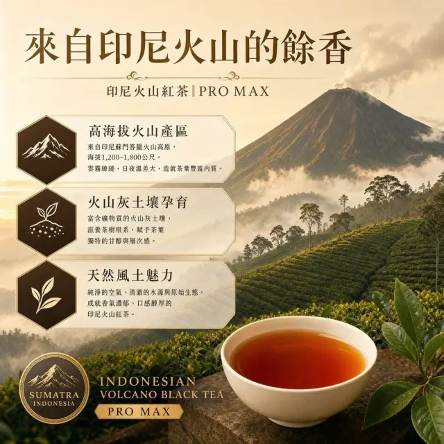 【茶好玩】印尼火山紅茶 PRO MAX 來自火山 極致嫩採