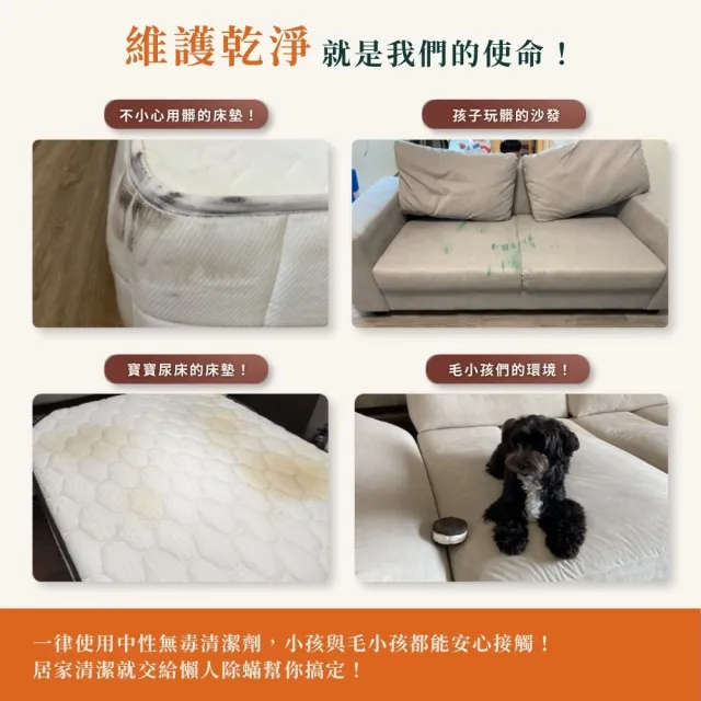 懶人除蟎｜新客體驗特談★水洗沙發贈除蟎+防汙鍍膜(沙發長度 180cm內)