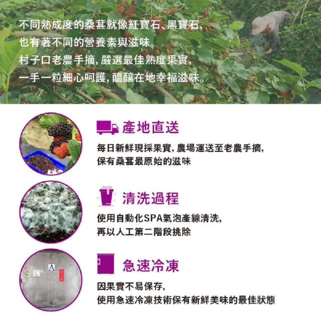 【老農手摘】桑葚濃縮果粒汁600gX4瓶