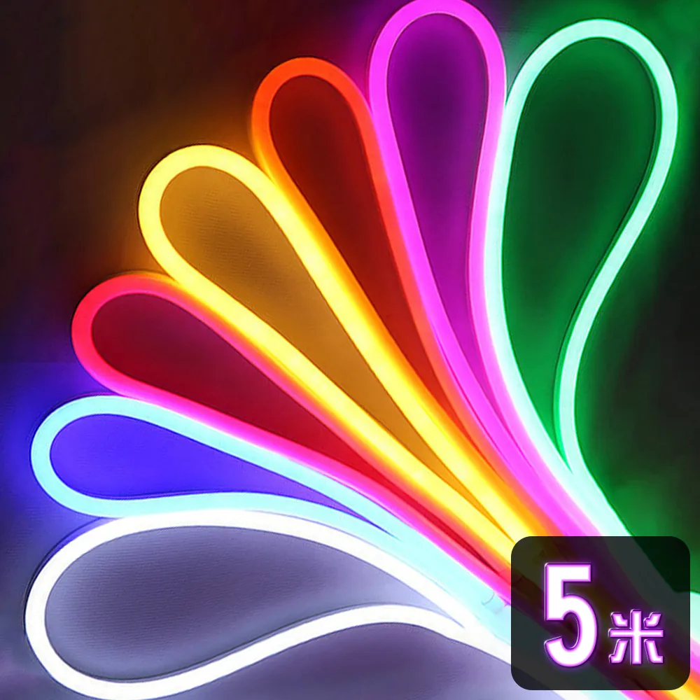 【LGS熱購品】LED燈條 12V柔性霓虹燈條 升級矽膠 防水防曬(5米長度/燈條/LED燈/戶外裝飾)
