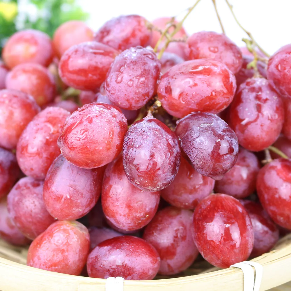 【果之家】澳洲酸甜飽滿紅無籽葡萄1箱(4.5kg/箱)