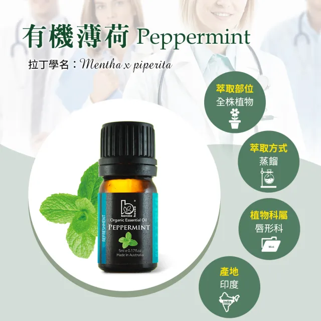 【Bonnie House 植享家】小資入門三寶精油組_茶樹尤加利薄荷