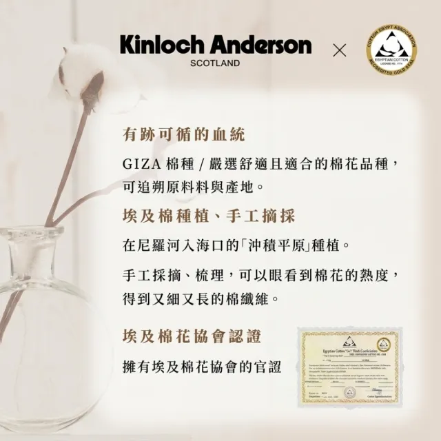 【金安德森】momo獨家 台灣製 埃及棉床包枕套組 均一價 多款選(單/雙/加大)
