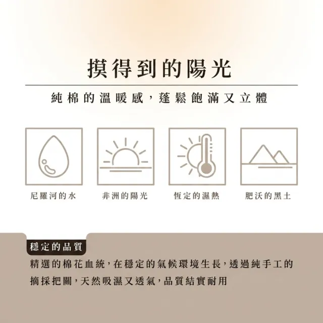 【金安德森】momo獨家 台灣製 埃及棉床包枕套組 均一價 多款選(單/雙/加大)
