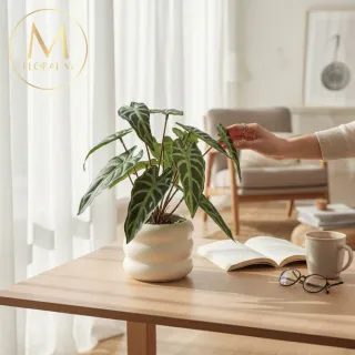 【Floral M】居家綠意滴水觀音25cm仿真植栽含花器(人造植栽/仿真樹/室內佈置/居家裝飾/桌上型植栽)