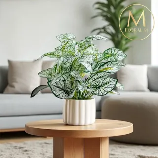 【Floral M】居家白色戀人海芋25cm仿真植栽含花器(人造植栽/仿真樹/室內佈置/居家裝飾/桌上型植栽)