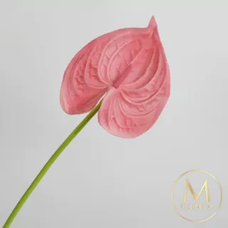 【Floral M】黛安娜心型火鶴甜心粉仿真花花材2入組(人造花/仿真花/假花/花藝DIY/裝飾花材)