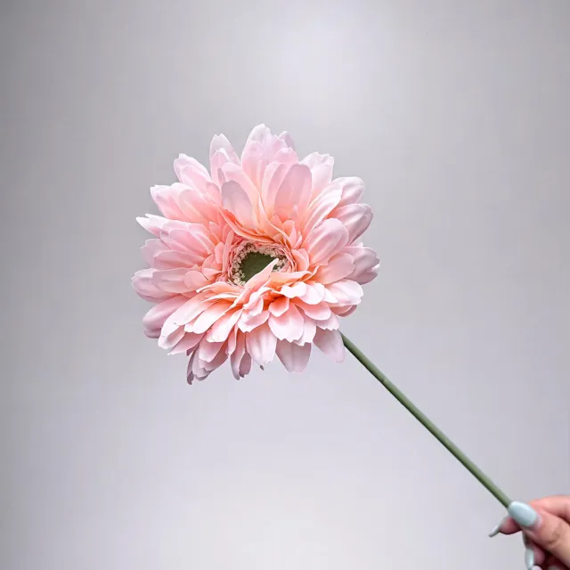 【Floral M】夏日小太陽非洲菊甜蜜粉仿真花花材3入組(人造花/仿真花/假花/花藝DIY/裝飾花材)
