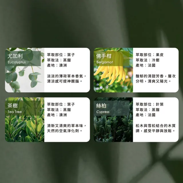 【mo select】100%植萃精油-薰衣草10ml(mo選/香氛精油/水氧機精油/薰衣草)