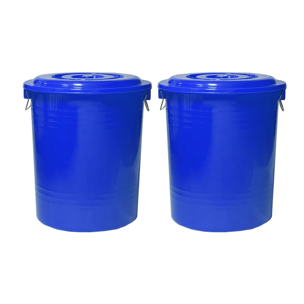 【G+ 居家】MIT台灣製萬用桶儲水桶垃圾桶冰桶66L(2入組-附蓋附提把 隨機色出貨)