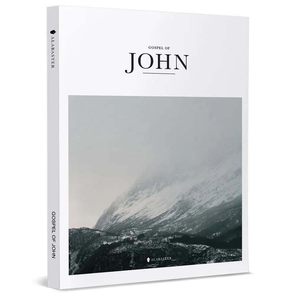 GOSPEL OF JOHN（New Living Translation）