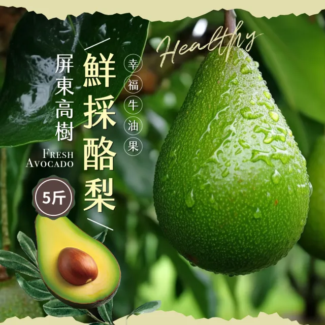 【初品果】屏東高樹鮮採酪梨含箱5斤4-7顆x1盒(幸福牛油果_草生栽培)